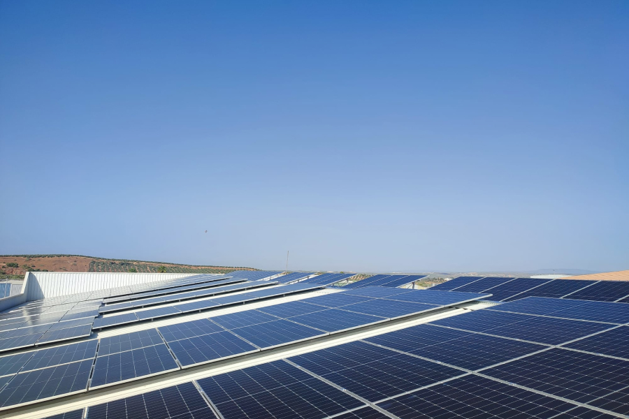 Iberdrola España pone en marcha tres comunidades solares en Linares que permitirán a 600 familias reducir su factura de la luz