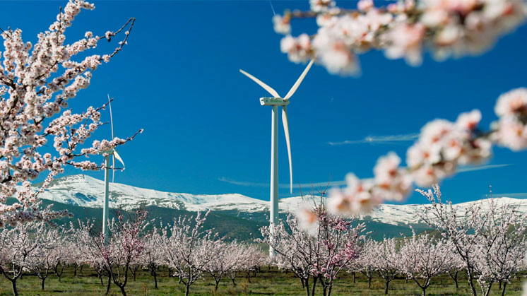 Iberdrola inicia la construcción de un conjunto eólico de 79 MW entre Málaga y Sevilla, en Andalucía.