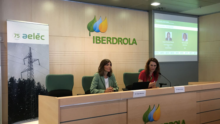 Aelec e Iberdrola.