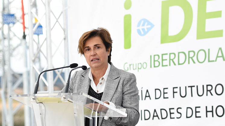 Ángeles Santamaría, consejera delegada de Iberdrola España.