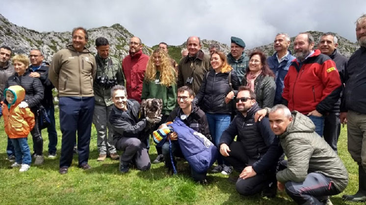 Recuperación del quebrantahuesos.