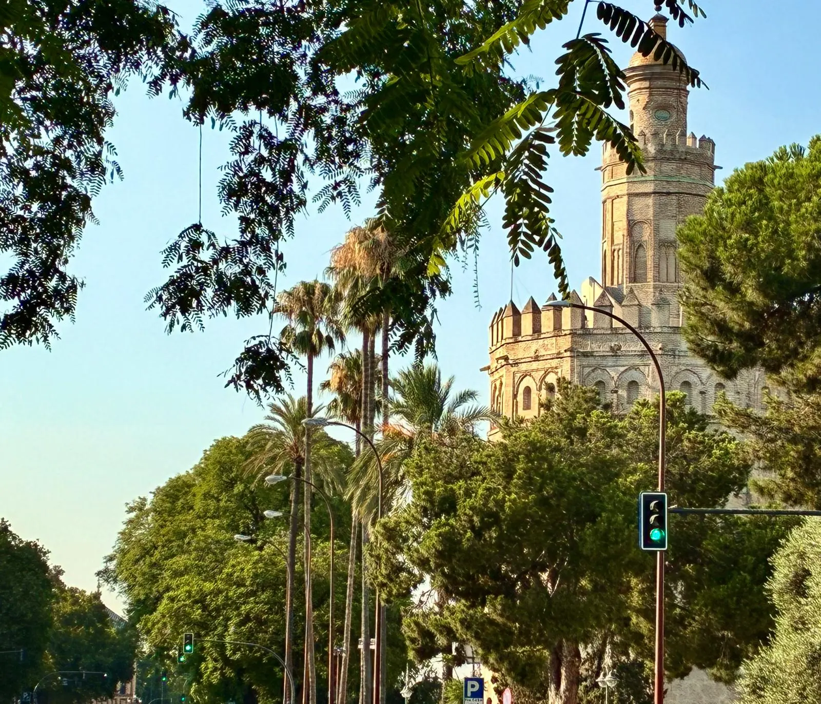 Vista urbana con una torre histórica rodeada de árboles y palmeras, junto a una avenida con semáforos.