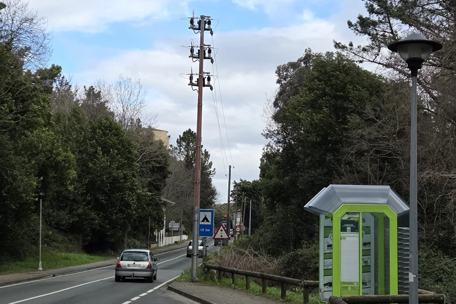 Carretera rodeada de vegetación con un poste de la red eléctrica y una parada de autobús.