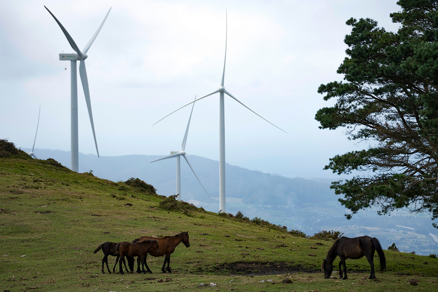 Caballos pastando en un campo con aerogeneradores al fondo en un paisaje natural